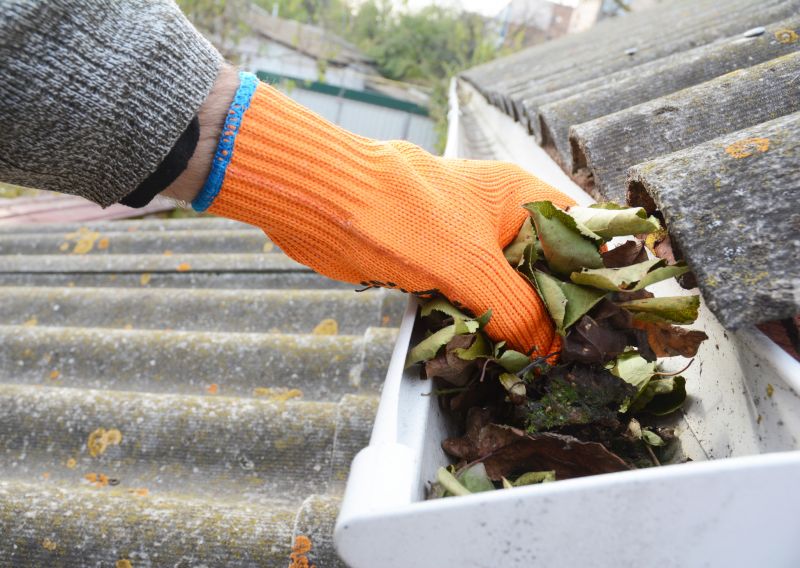 Commercial Gutter Unclogging in Denver, CO