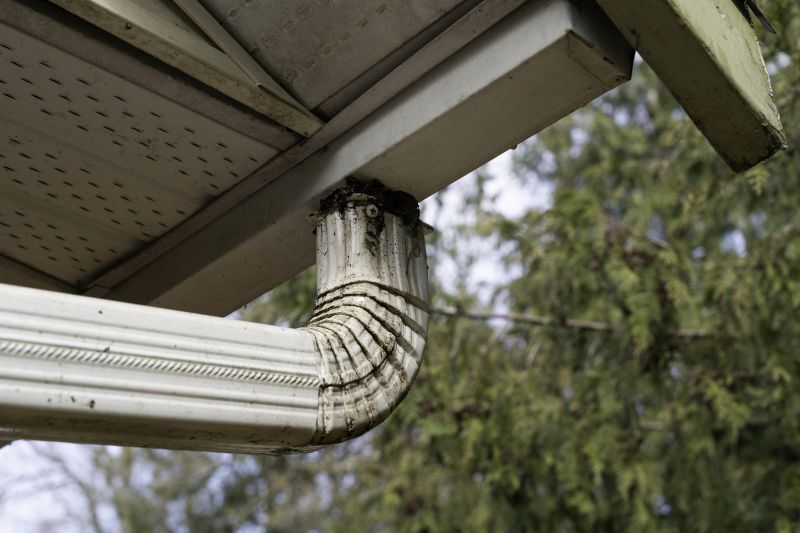 Downspout Blockage Removal in Frederick, MD