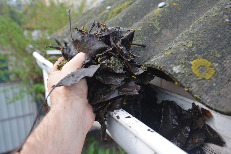 Gutter Leaf Clearing in Frederick, MD