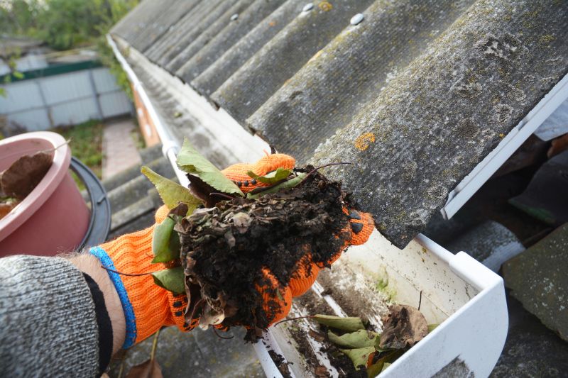 Gutter Leaves Removal in Morris County, NJ