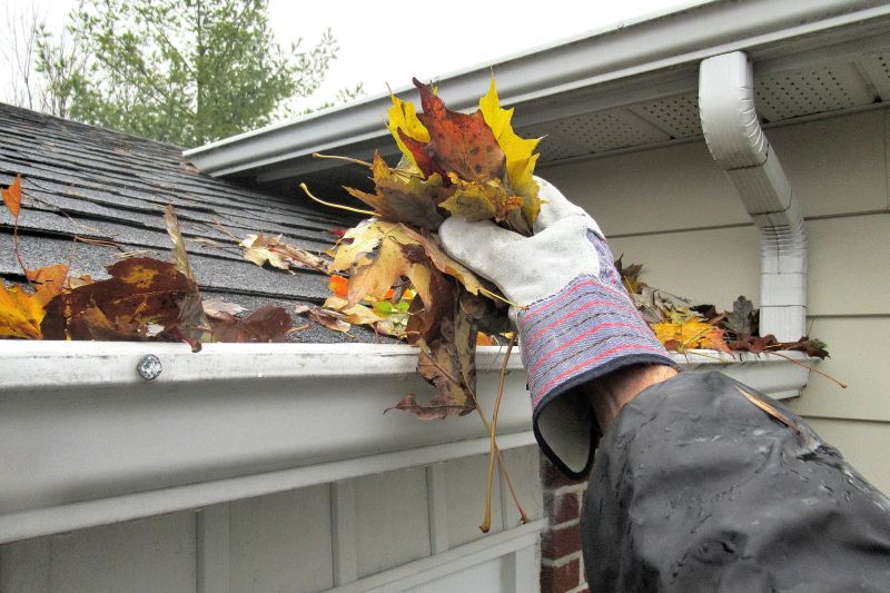 Gutter Maintenance in Longmont, CO