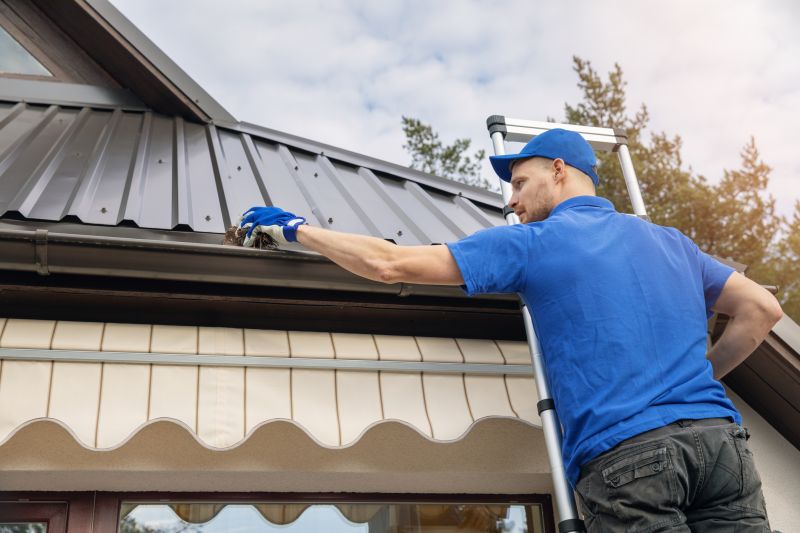 Gutter and Roof Surface Cleaning
