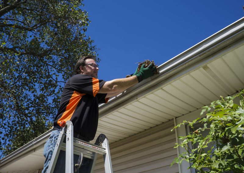 Rain Gutter Clearing in Longmont, CO