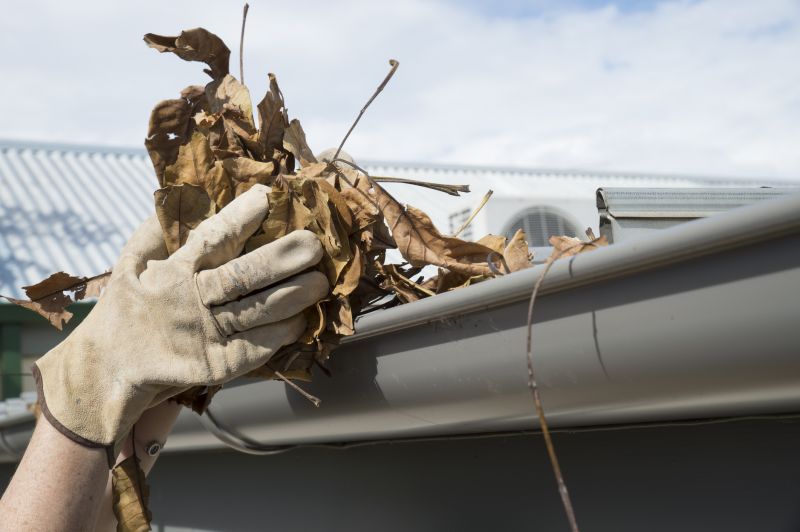 Gutter Leaves Removal in Frederick, MD